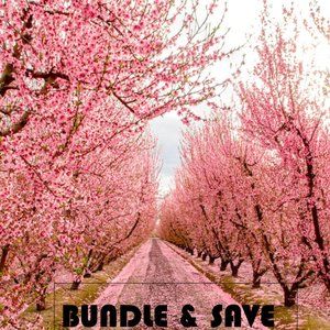 Bundle and Save | Offers Welcome